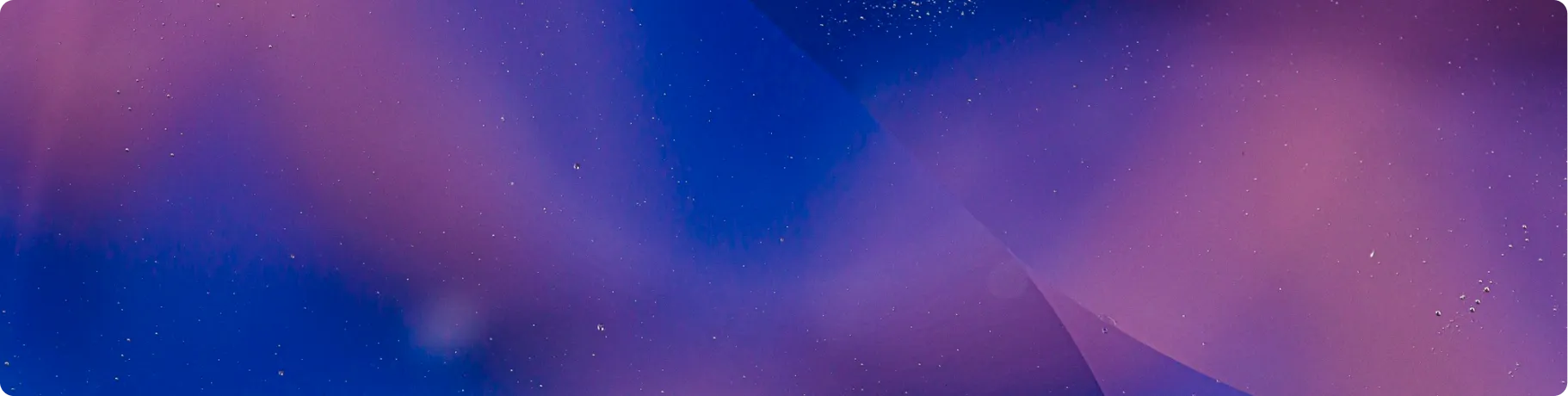 Template 10